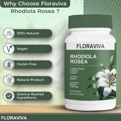 Rhodiola Rosea Extract β Stress & Energy Support Capsules