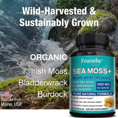 Sea Moss Capsules